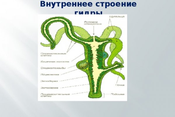 Кракен официальный сайт 2krnk cc